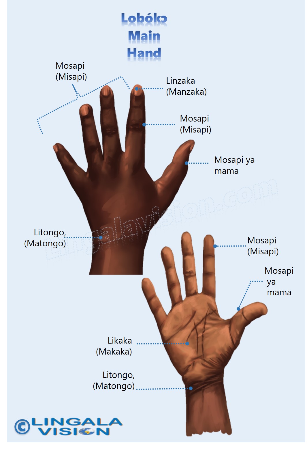 hand top and palm description in lingala